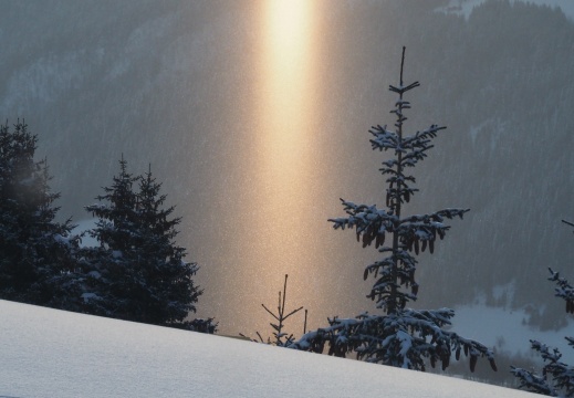 we formation avalanche 2021