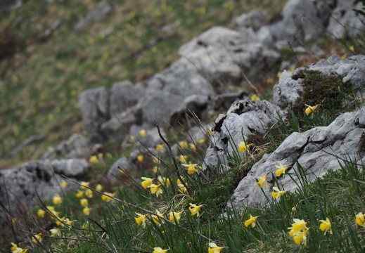 Charmante balade sous le Charmant Som