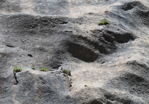 Randos quasi corençaises