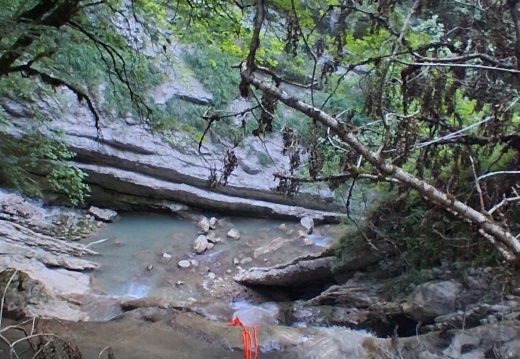 canyon Vence